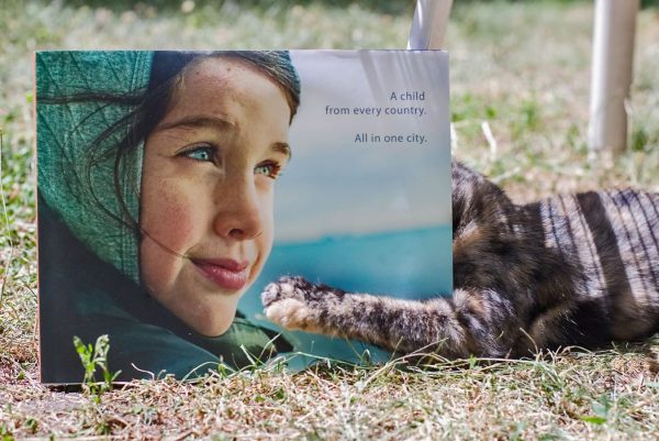 NYChildren Photography Book by Danny Goldfield.  Book is open on the grass and a brown cat has its head burried in the book.